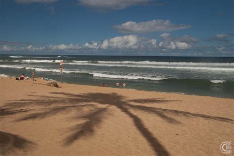 Haleiwa Ali'i Beach Park in Haleiwa, Oahu, Hawaii | Hawaiian Beach Rentals