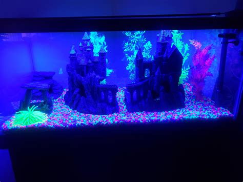 40 Gallon Tank Setup Feedback : r/Aquariums