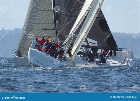 Sailboat Racing On Puget Sound Seattle Washington State Editorial