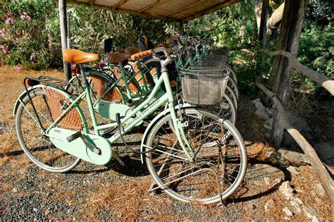 Agriturismo Castiglione Della Pescaia Con Piscina Agriturismo Prile