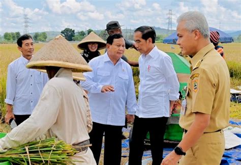 Dikeluhkan Petani Presiden Jokowi Minta Badan Pangan Nasional Hitung