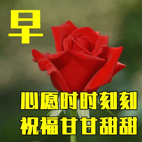 4月22日最漂亮早上好动态表情图片大全，早晨好动图美图大全 祝福 一个人 人生