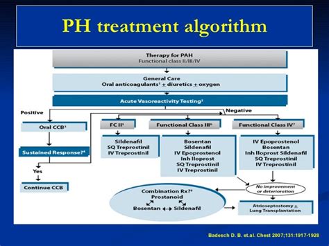 Treatment Strategies For Pulmonary Hypertension