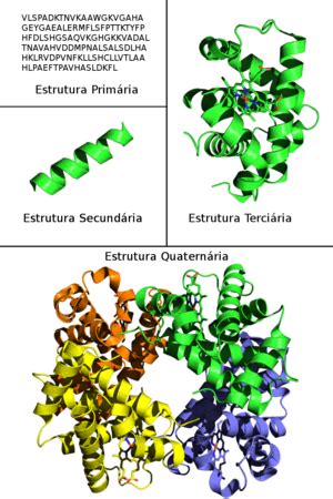 Estrutura Primaria Da Proteina - Diagrama De Estrutura De Proteina Primaria