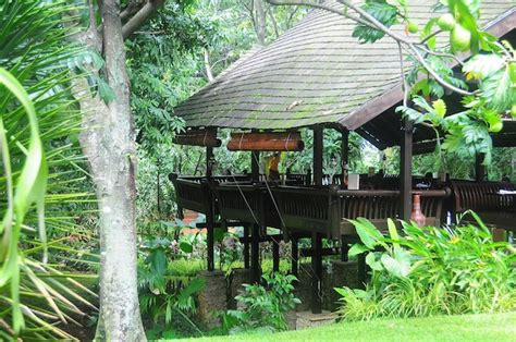 Premium Photo Gazebo Against Trees At Park