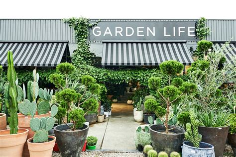 Best Sydney Plant Nurseries And Stores Man Of Many