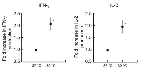 In Vitro Hyperthermia Stimulates Ifn γ And Il 2 Production From T Cells Download Scientific