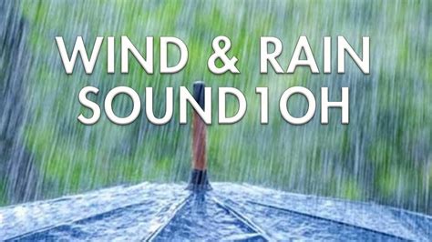 WIND & RAIN SOUND FOR RELAXING - YouTube