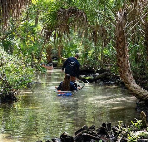 2022 O Que Fazer Em Homosassa Os 10 Melhores Pontos Turísticos Tripadvisor