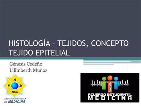 Tejidos Concepto Tejido Epitelial Ppt Descarga Gratuita