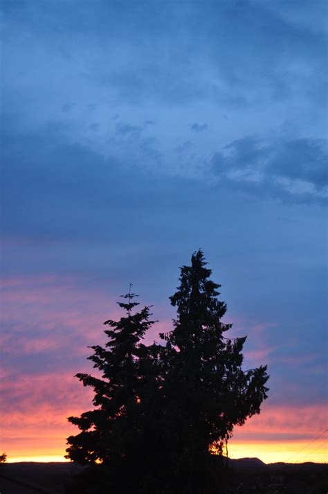 Fotos Gratis Rbol Horizonte Nube Cielo Amanecer Puesta De Sol