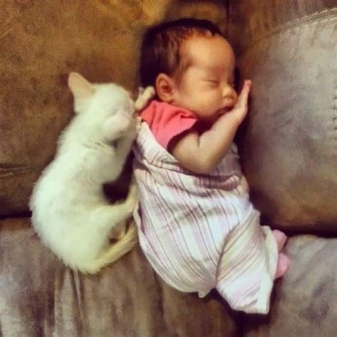 Parents Document Their Daughter Sleeping With Her Cat Everyday Since ...