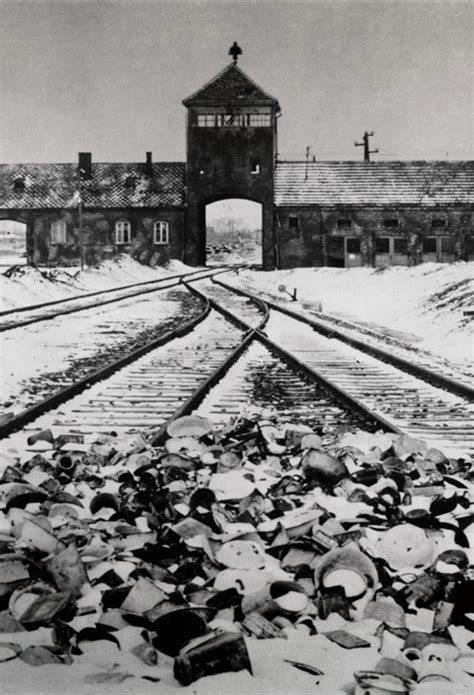 Reportajes Y Fotografías De Holocausto En National Geographic Historia