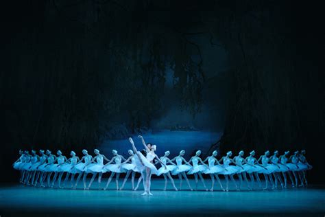 Swan Lake Mariinsky Theatre Ballet January At Buy