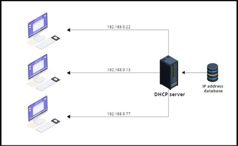 Qu Es El Dhcp Para Qu Sirve Y C Mo Funciona Conoce Todo Sobre El