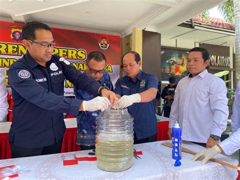 Aktif Berantas Narkoba 1 Bulan Polda Kalteng Dan Polres Jajarannya