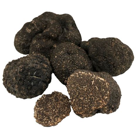 Fine Food Specialist Fresh Perigord Truffles Milled