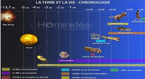 Datations de la Préhistoire Tableau des différentes périodes