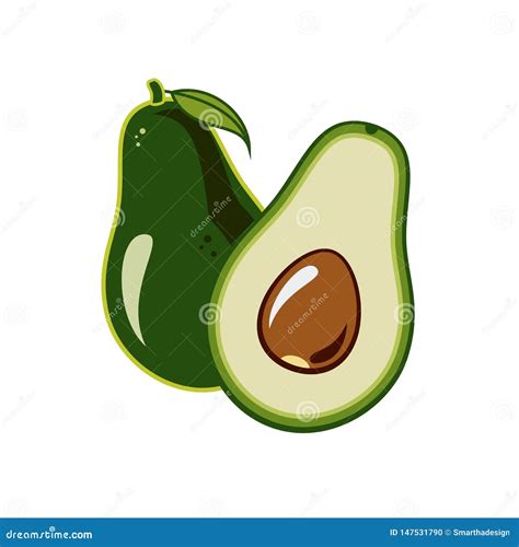 Avocado Vector Isolated On White Backgroud Green Avocado Whole Cut In