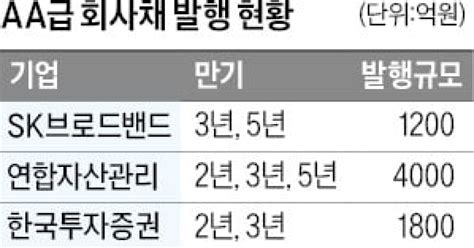 연말 기업 자금조달 환경 악화aa급 우량채도 잇단 오버발행