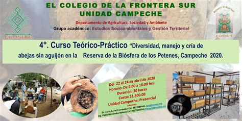 Ecosur On Twitter Te Invitamos Al Curso Te Rico Pr Ctico Diversidad