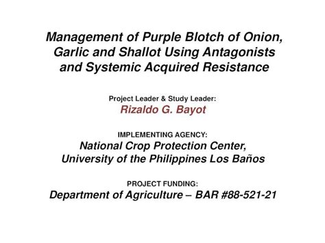 Pdf Management Of Purple Blotch Of Onion Garlic And Shallot Using