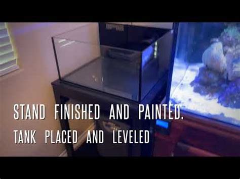 Frag Tank Innovative Marine 25 Lagoon Marine Farm Videos