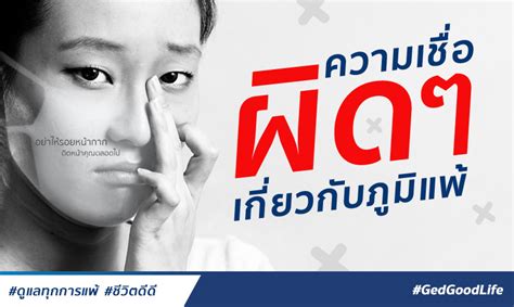 “ความเชื่อผิด ๆ เกี่ยวกับภูมิแพ้” เข้าใจผิด ชีวิตพัง Ged Good Life ชีวิตดีดี เว็บไซต์เพื่อ