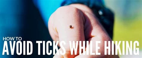 How To Prevent And Avoid Ticks While Hiking Expert Tips