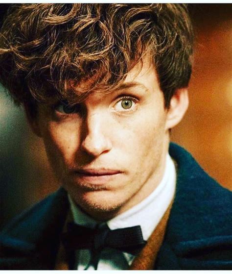 Mi Piace Commenti Newt Scamander Newt Scamander Su