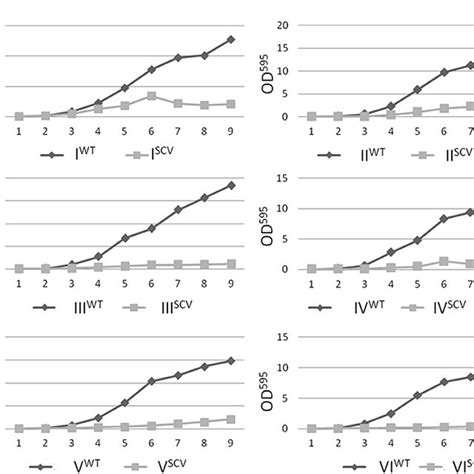 Growth Curve Analysis Of S Aureus Isolates With Normal And Scv