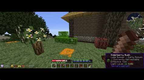 Minecraft TerraFirmaPunk Ep12 Sheep Wool YouTube