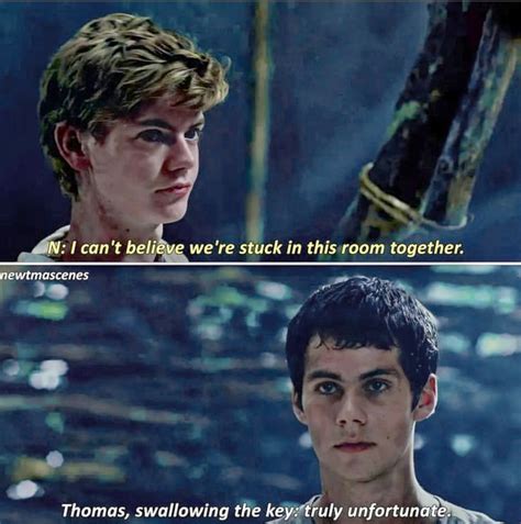 Newtmas Thomas X Newt MazeRunner Y Nsetmascenes IG Maze Runner