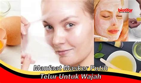 Temukan Manfaat Masker Putih Telur Untuk Wajah Yang Jarang Diketahui