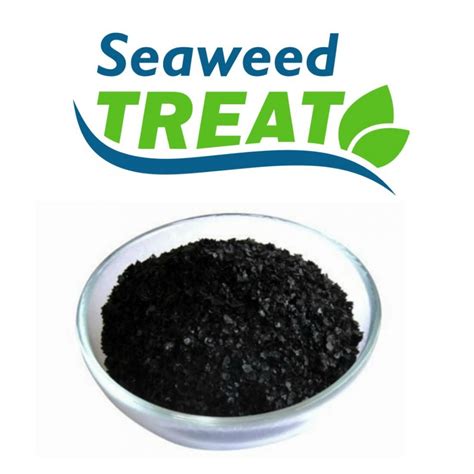 Seaweed Fertiliser Nz Concentrated Seaweed Extract Flake