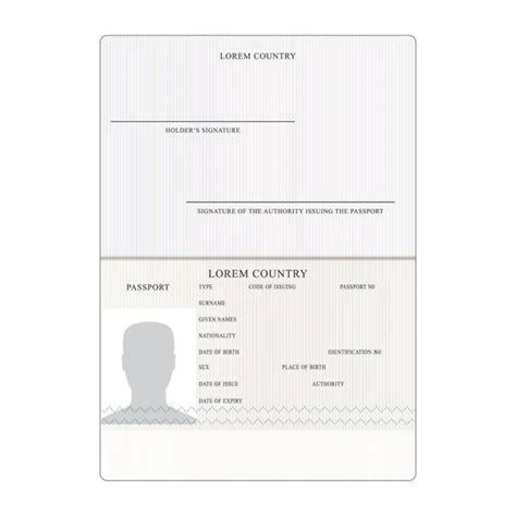 Vector De Pasaporte Internacional Documento De Identificaci N De