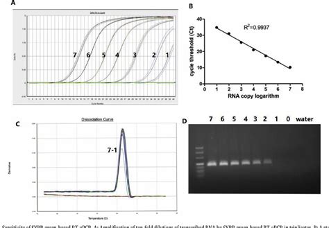 Figure 1 From Development Of A SYBR Green Based Real Time RT PCR Assay