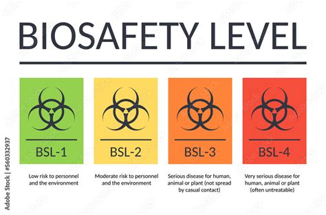 Vector Banner Biosafety Levels Signs Bsl Bsl Bsl Bsl