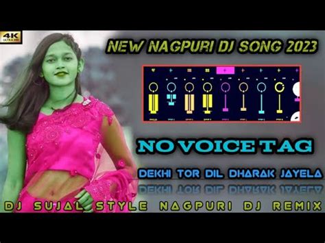 Dekhi Tor Dil Dhorok Joyelo New Nagpuri No Voice Tag Dj Song 2023 New