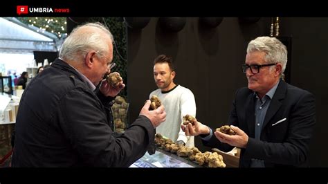 Giuliano Tartufi Alla Mostra Mercato Del Tartufo Bianco Di Citt Di