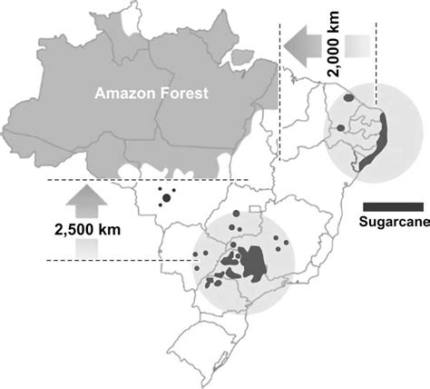 Map Of Sugarcane Distribution On Brazil Fonte Unica 2008 Download