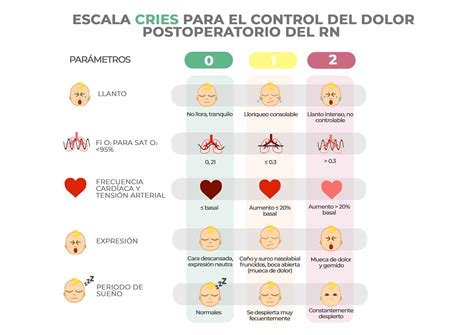 Evaluaci N Del Dolor En El Rn Escalas De Valoraci N