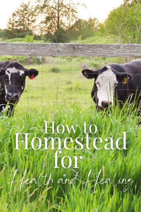 What Is Homesteading What To Know To Get Started Artofit