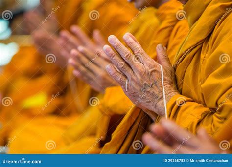 Monges Budistas Que Chanting Foto de Stock Imagem de tailandês santo