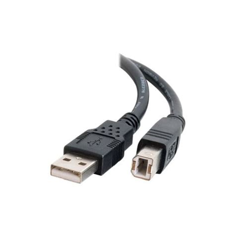 C2g 2m Usb Cable Usb A To Usb B Cable Mm Dell Usa