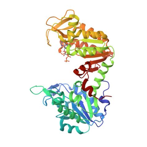 Rcsb Pdb Zgv Crystal Structure Of Human Phosphoglycerate Kinase