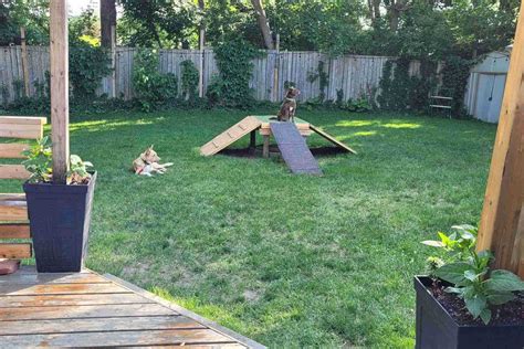 Wroxeter Ontario Dog Agility Parks For Rent Sniffspot