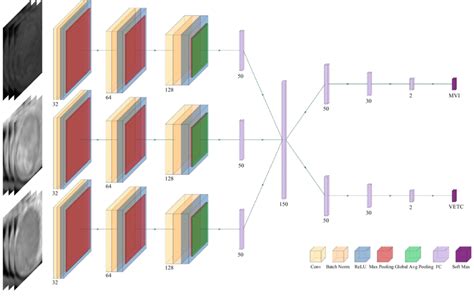 Flowchart Of The Proposed Deep Learning Framework For Multitask