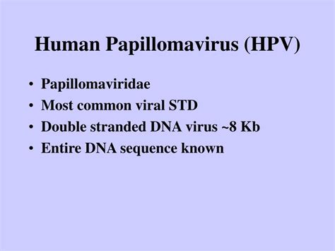 Ppt Genital Human Papillomavirus Dna Based Epidemiology Powerpoint 42240 Hot Sex Picture