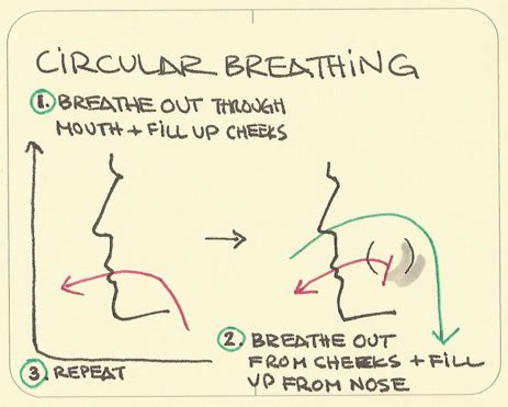 #TuesdayTip : Circular Breathing – Claude Lakey Woodwinds